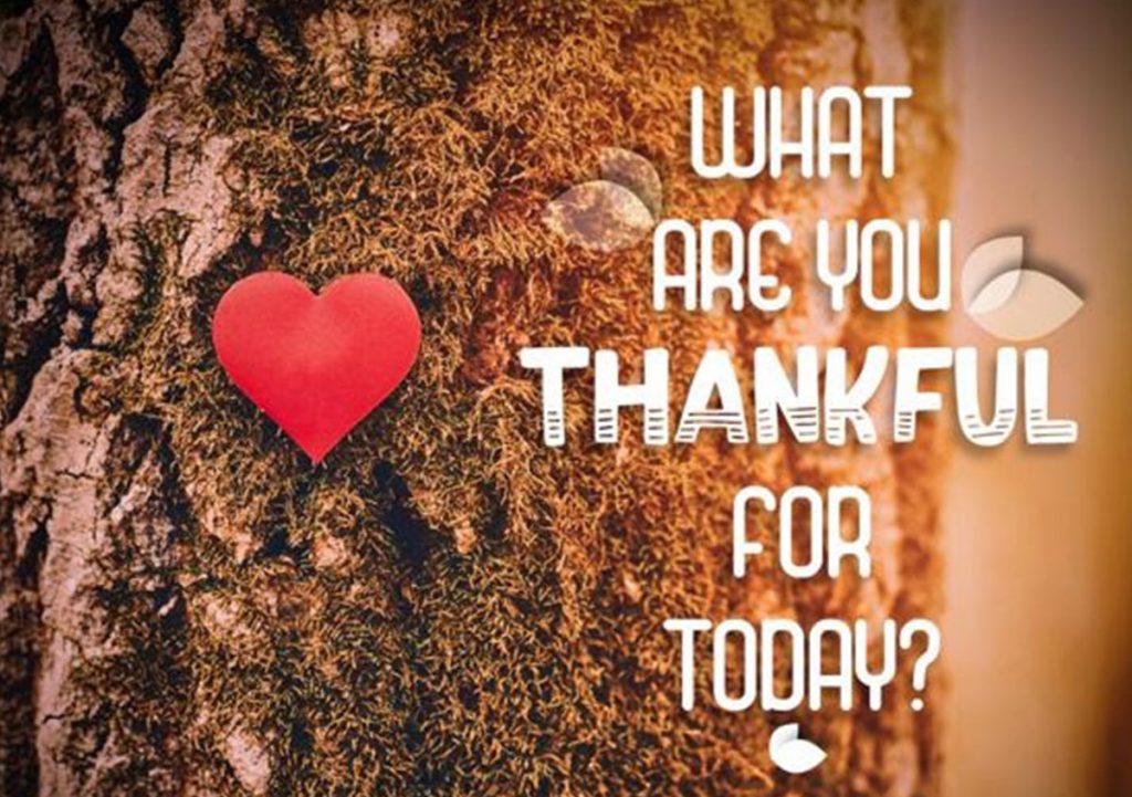 What are you thankful for today